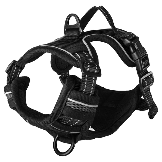FLAMINGO Hundsele Balou svart S 40-55 cm 20mm