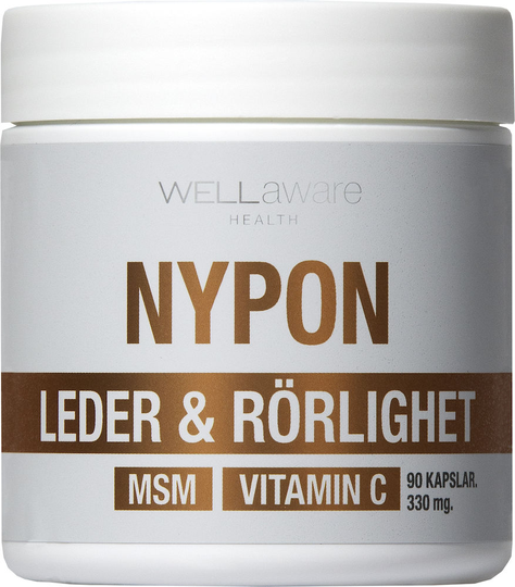WellAware Nypon Kapslar 90 st