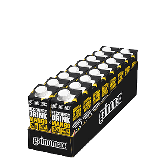 16 x Gainomax Recovery, 250 ml, Mango