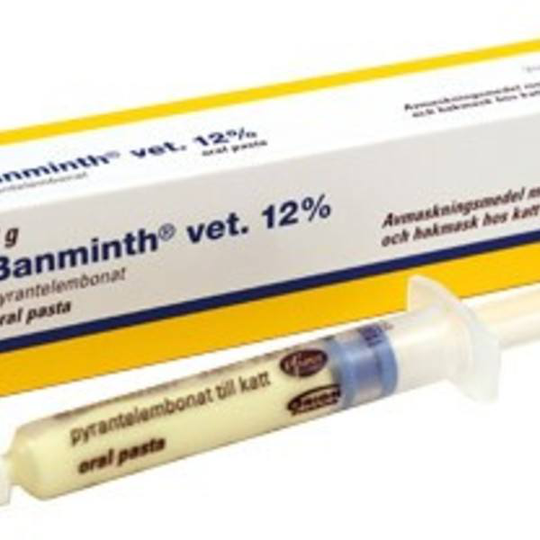 Banminth vet. Oral pasta 12 % 3 g